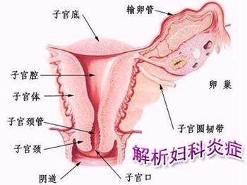 哪些是造成女性患阴道炎的主要因素呢